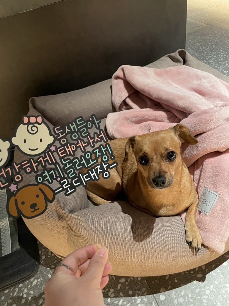 디데이세일50 이미지