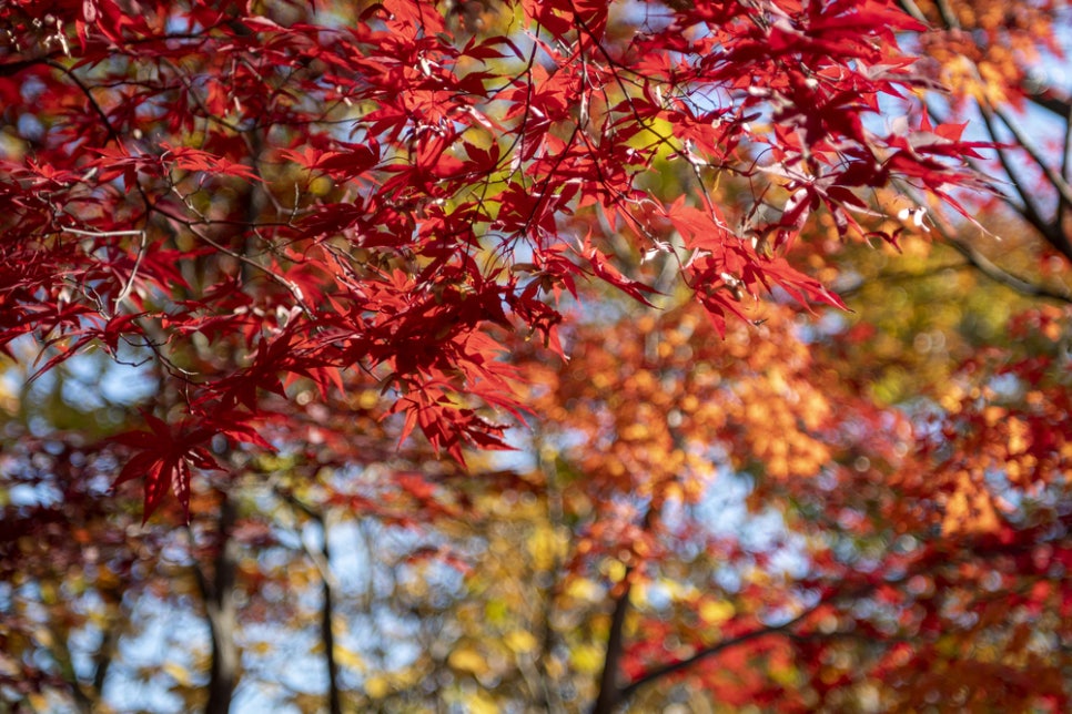 우리연세내과 이미지