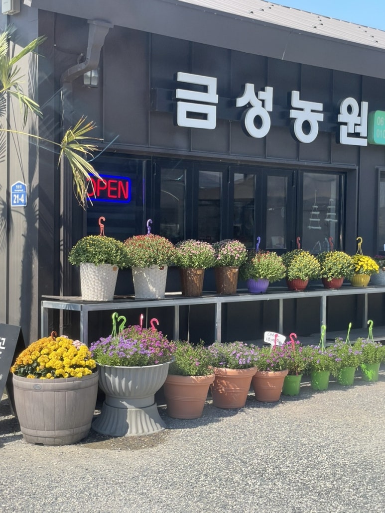 금성농원 이미지