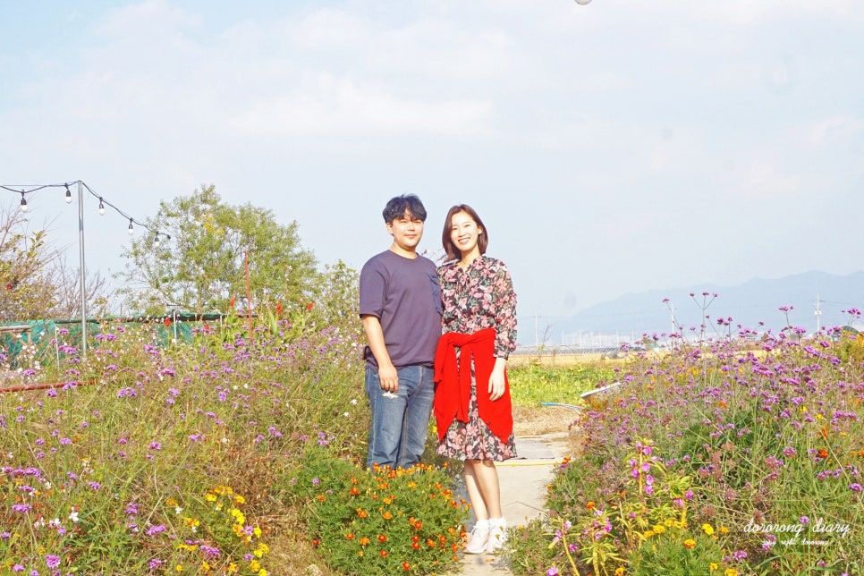 금빛다실 이미지
