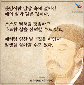 더호감 이미지