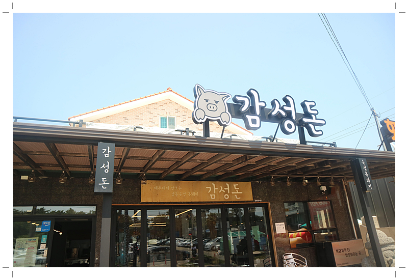 돈제주 이미지