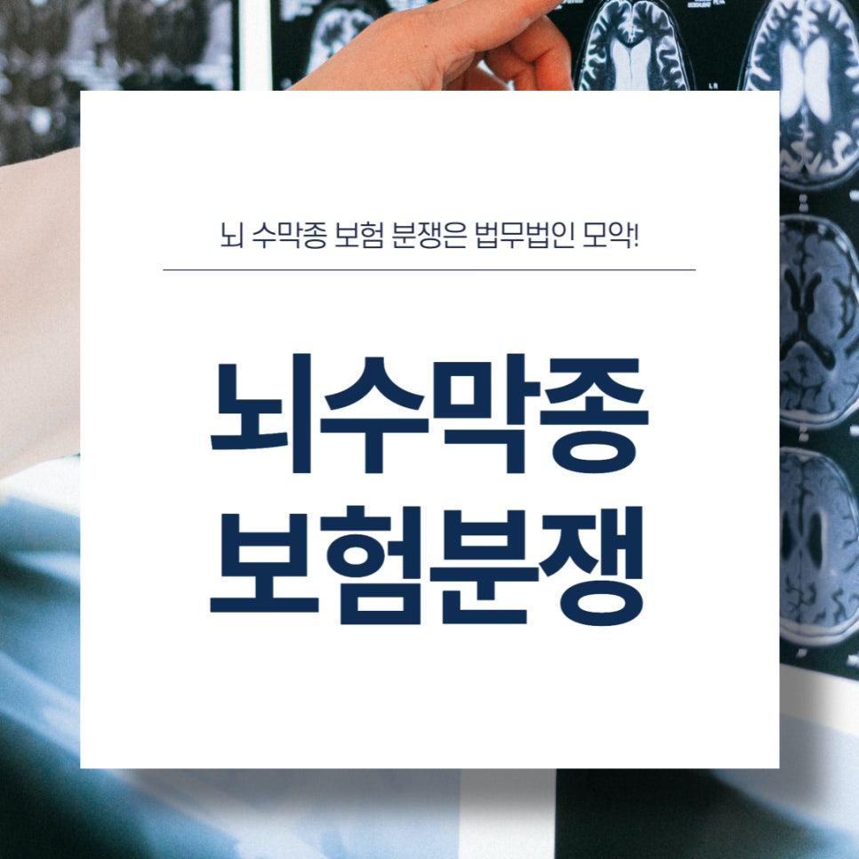 법무법인모악부안분사무소 이미지