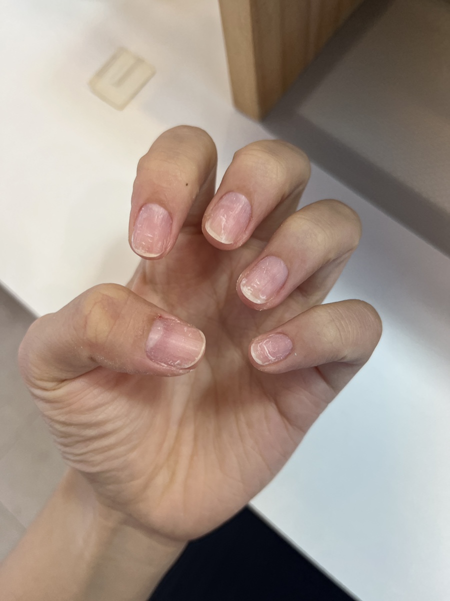 네일비비유 이미지
