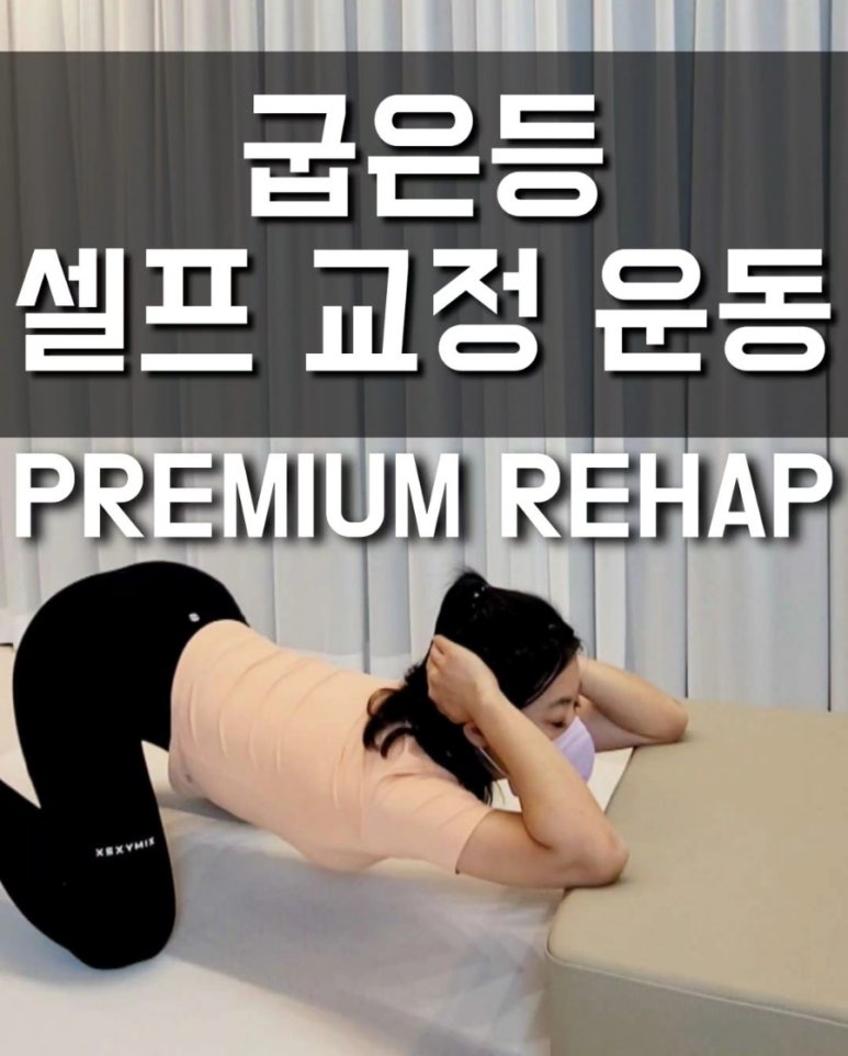 창원더리햅 이미지