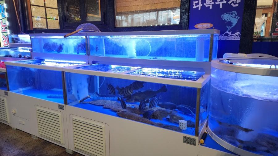 다복수산 이미지