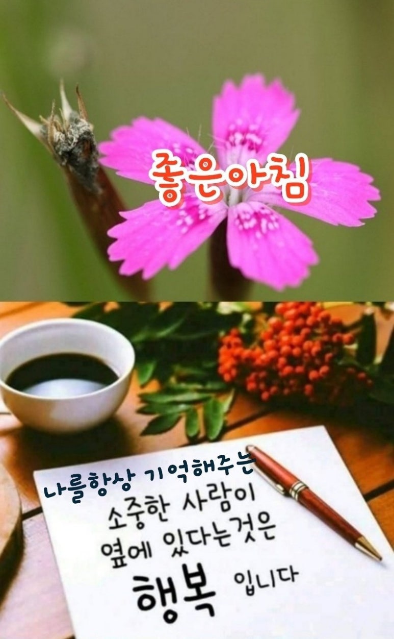 행복상사 이미지