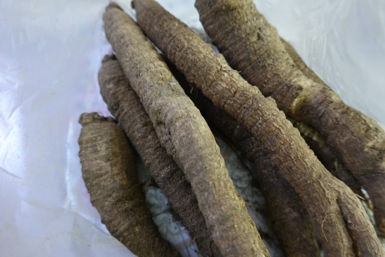 횡성더덕농가 이미지