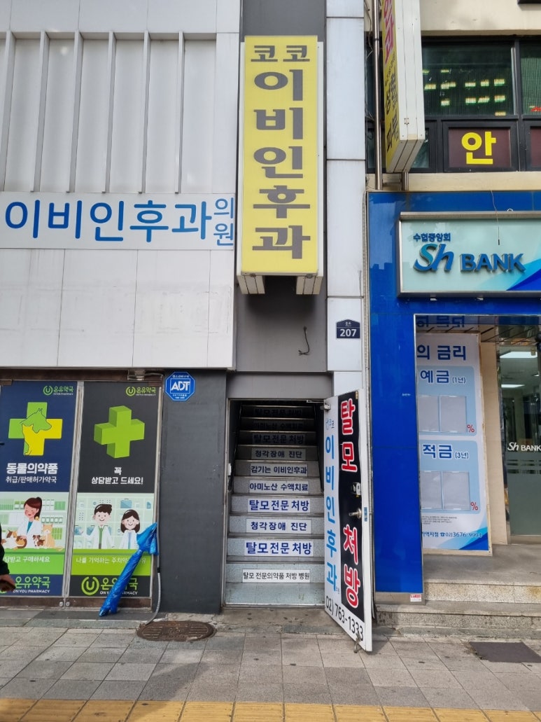 코코이비인후과의원 이미지
