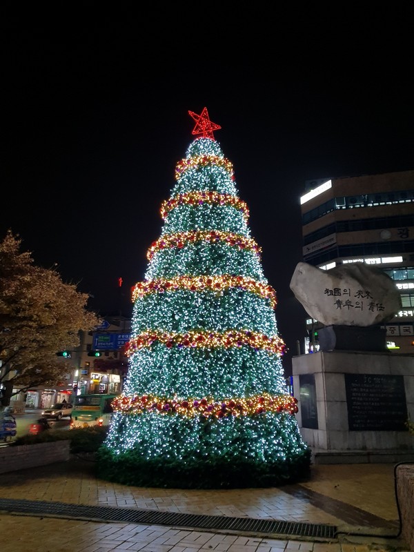 트리인테리어 이미지