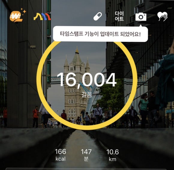 블루윈드 이미지