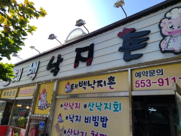 태백낙지촌 이미지