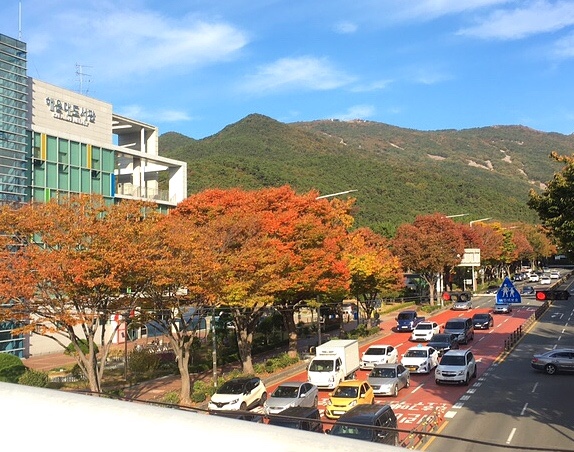 쿨2노래연습장 이미지