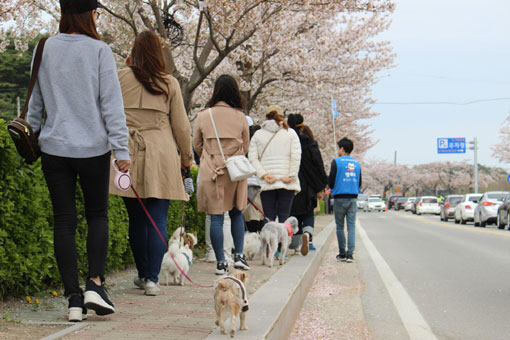 펫츠고트래블 이미지