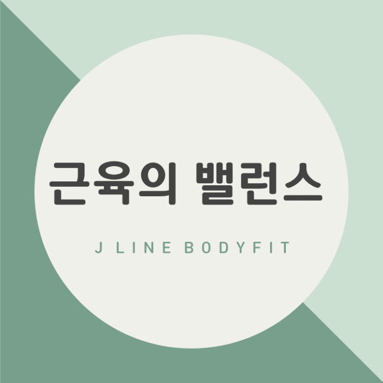 제이라인바디핏바른자세운동 이미지