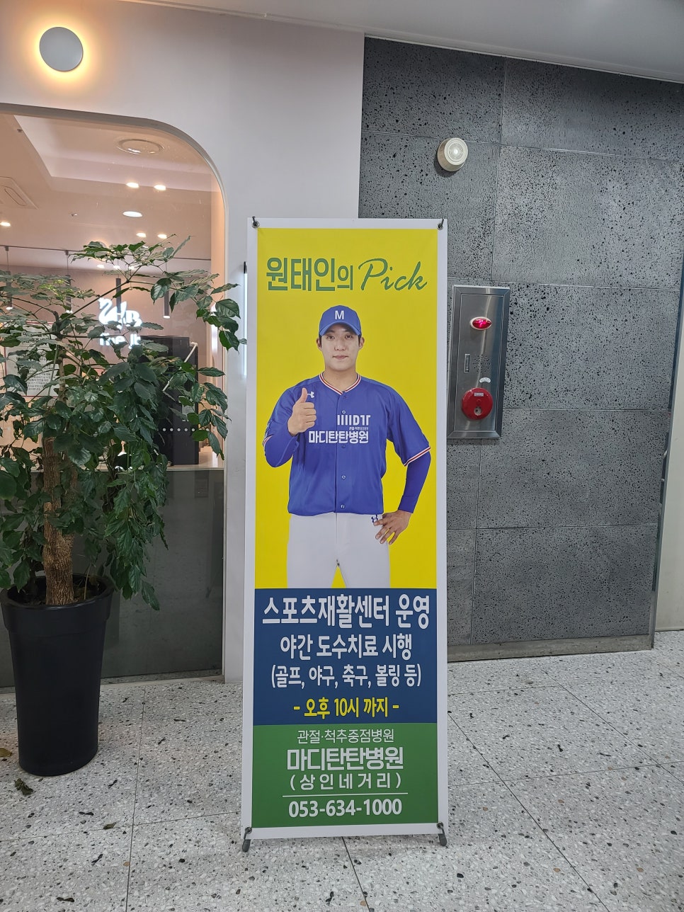 에이스 헤어라인 이미지