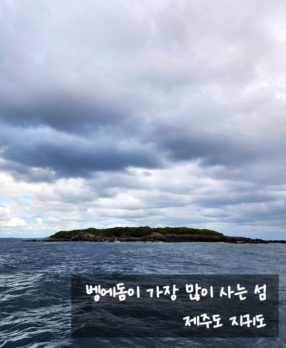 정원낚시점 이미지