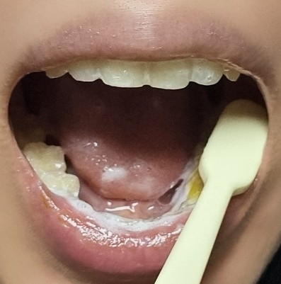 악어새플래닛 이미지