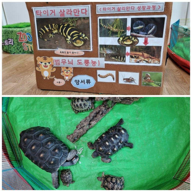 세계제일어린이집 이미지