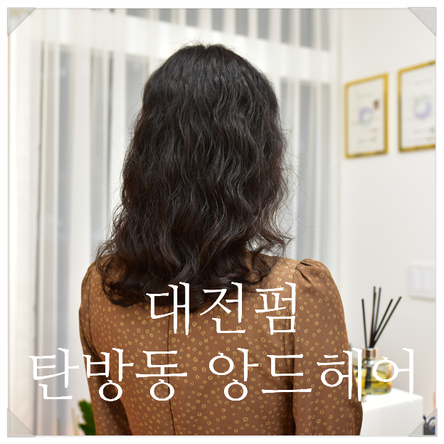 앙드헤어 이미지