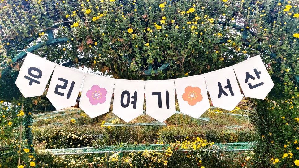 (주)서산 이미지