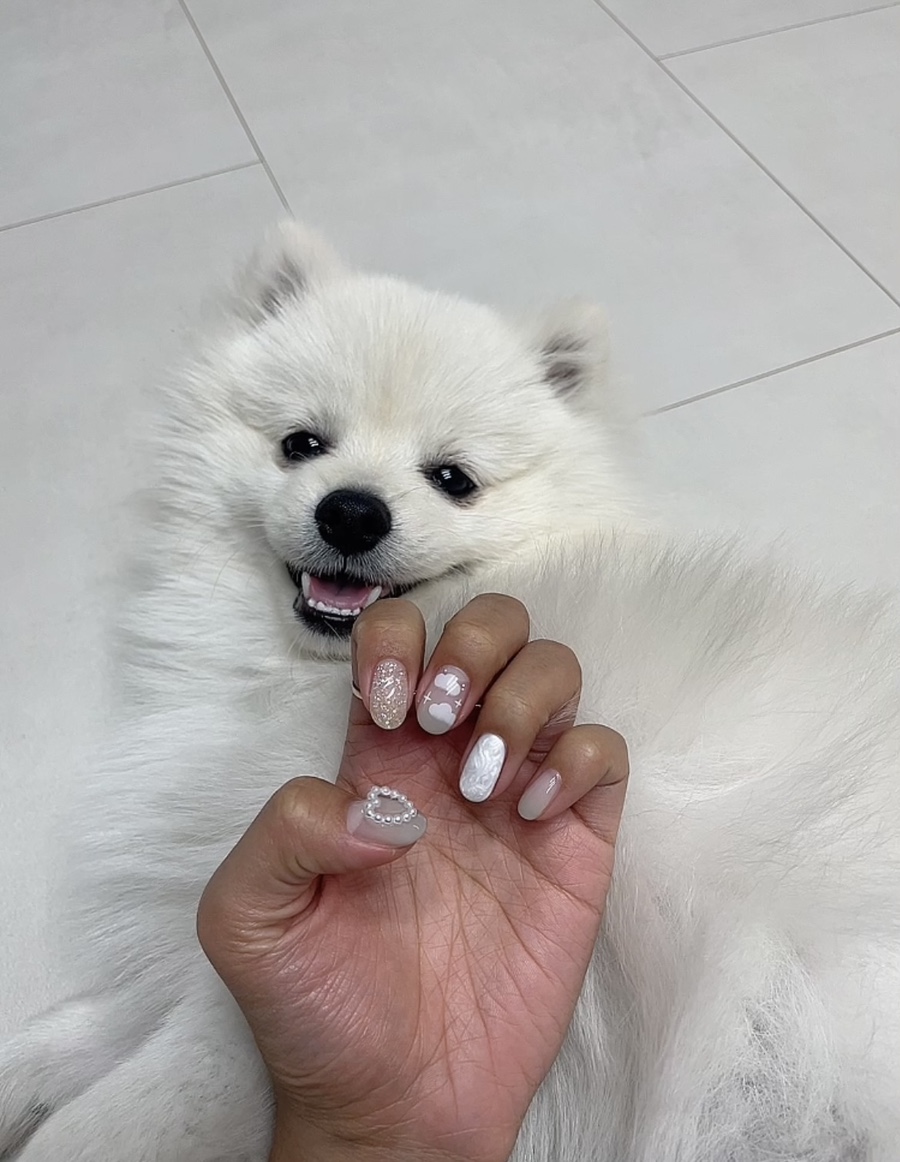 네일바이설 이미지