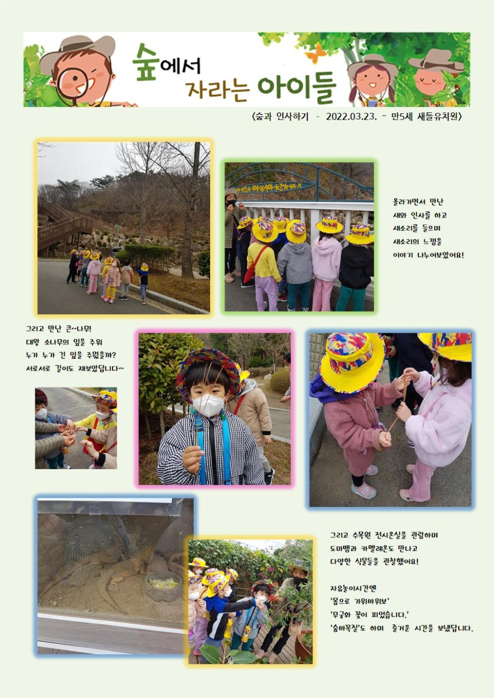 숲에서자라는아이들 이미지