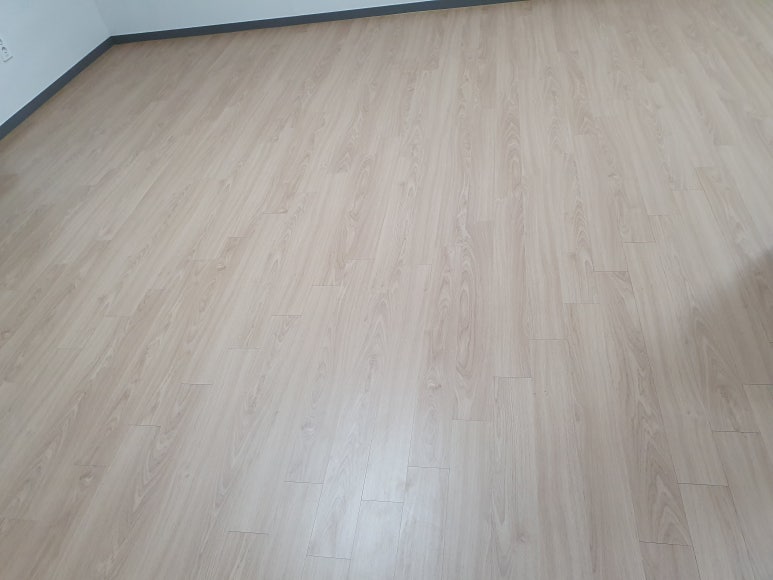일광청소 이미지