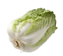 뜨락영농 이미지