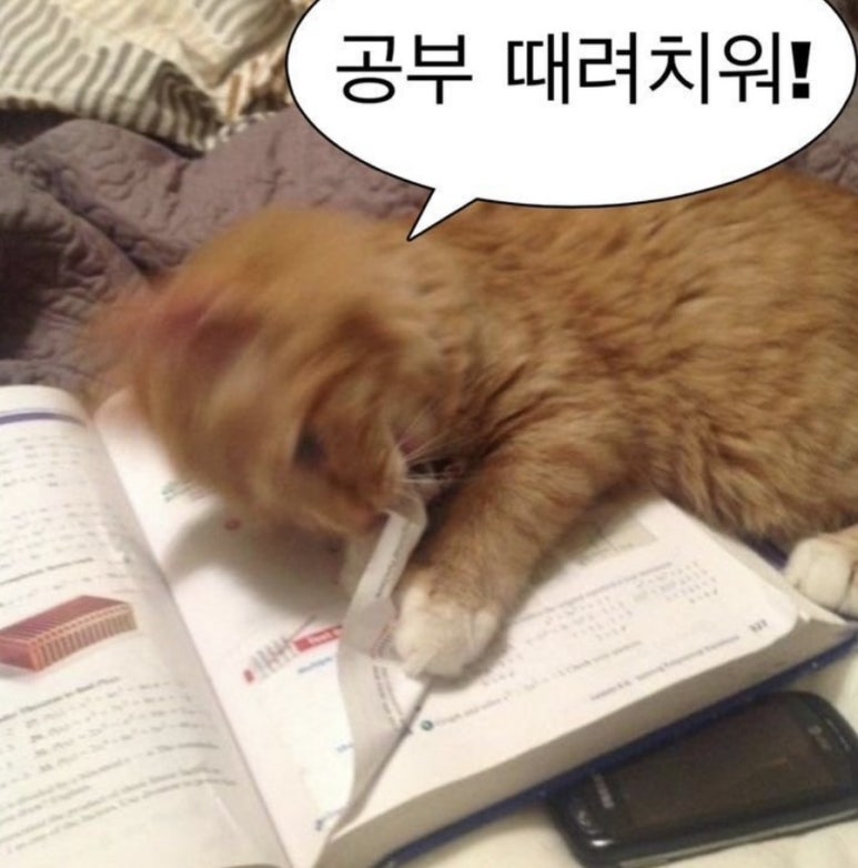 요새불멍 이미지
