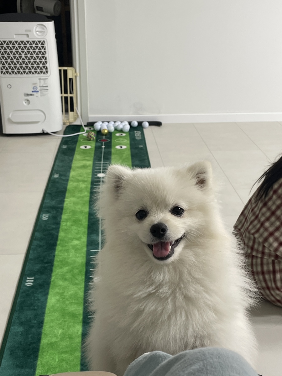 네일바이설 이미지