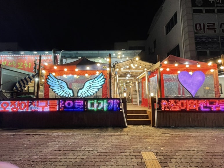 오징어 와 친구들 이미지