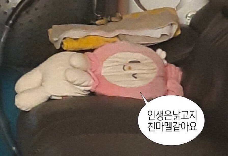 셉템버나인 이미지