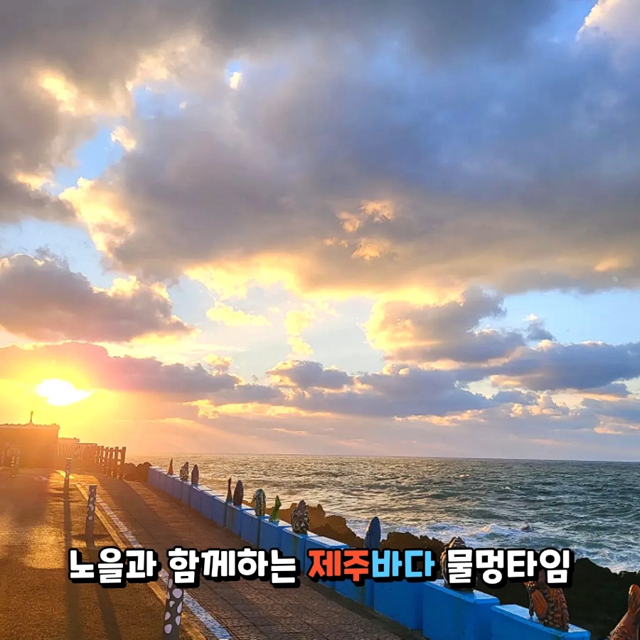 미니칸캠핑앤모빌리티 이미지