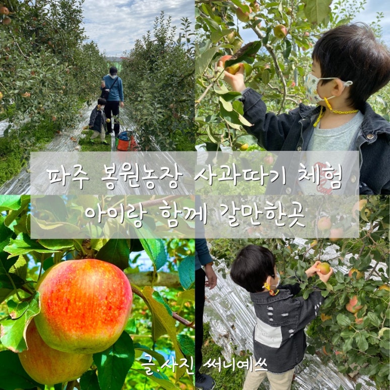 써니사과농장 이미지