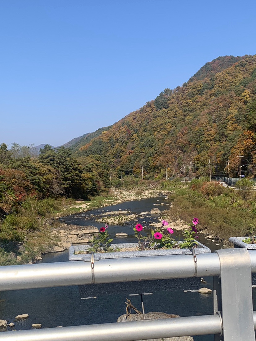 더불어사는터 이미지