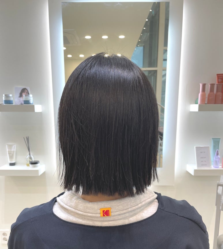 건니크 이미지