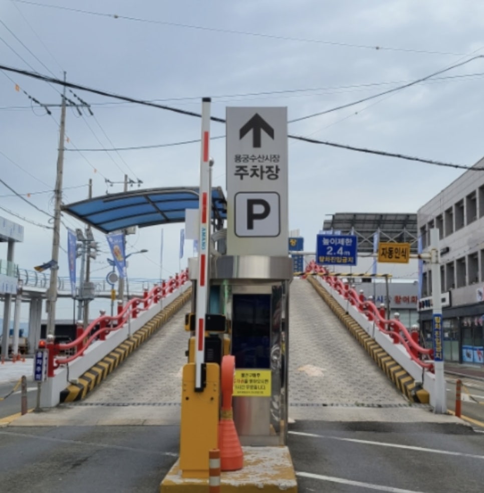 용궁수산주 이미지