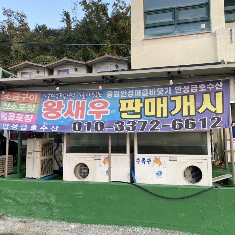 금호수산 이미지