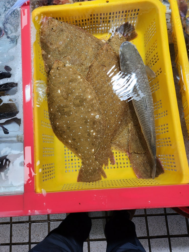 명진상회 이미지