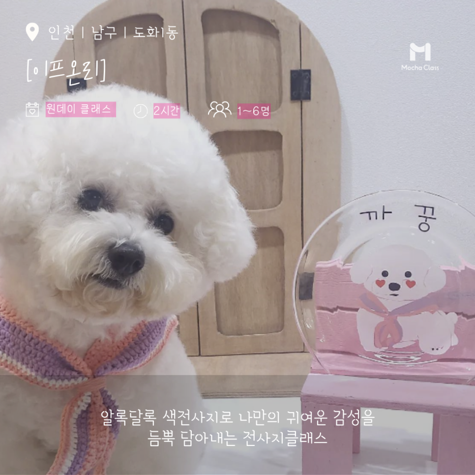 온리센트 이미지