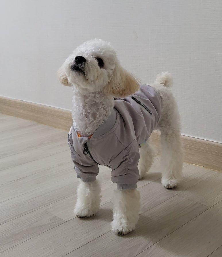 윤S공방 이미지