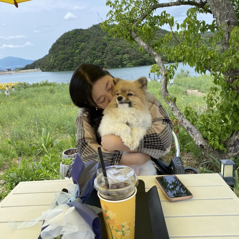 바실라 이미지