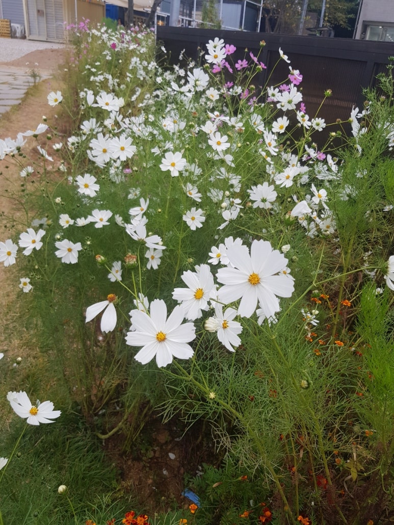 천흥마트 이미지