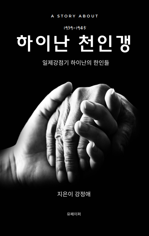 하이난전자 이미지
