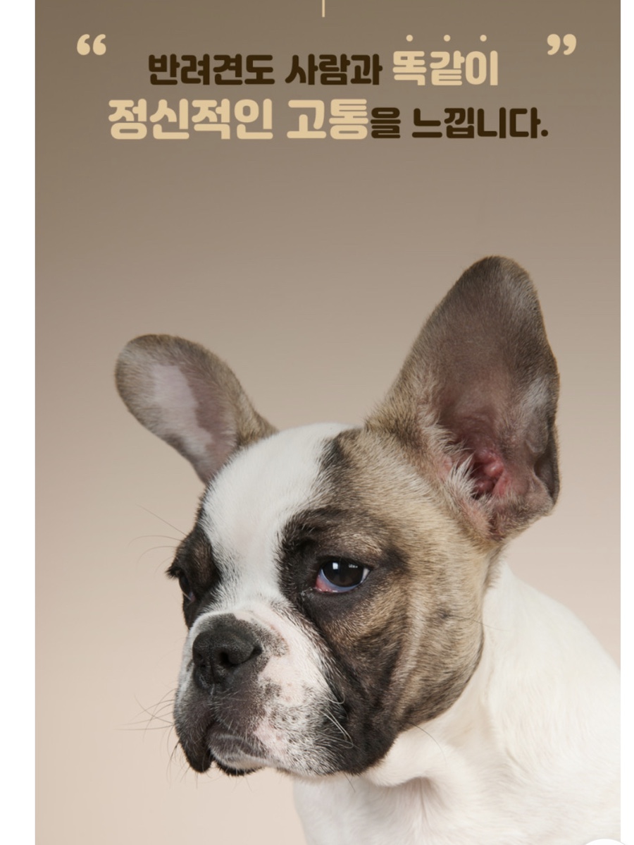 플러스소프트 이미지