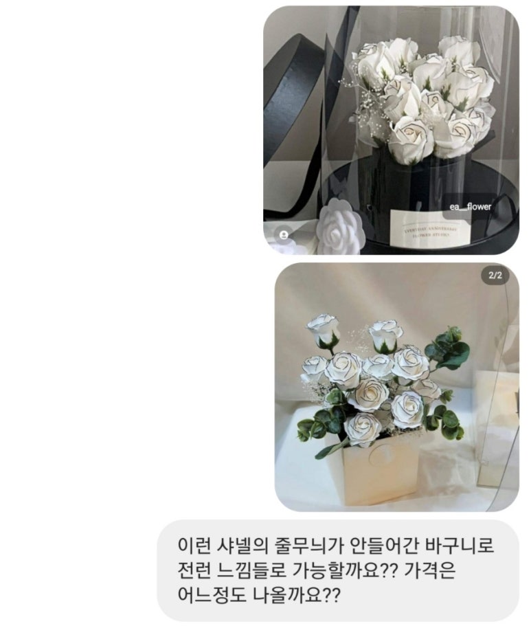 일리아플라워 이미지