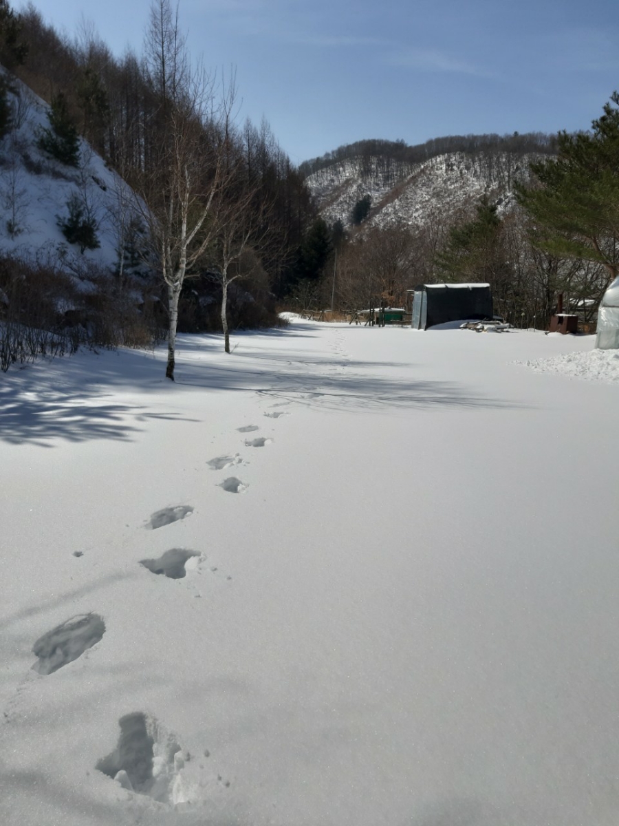 석화산농장 이미지