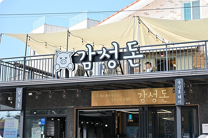 돈제주 이미지