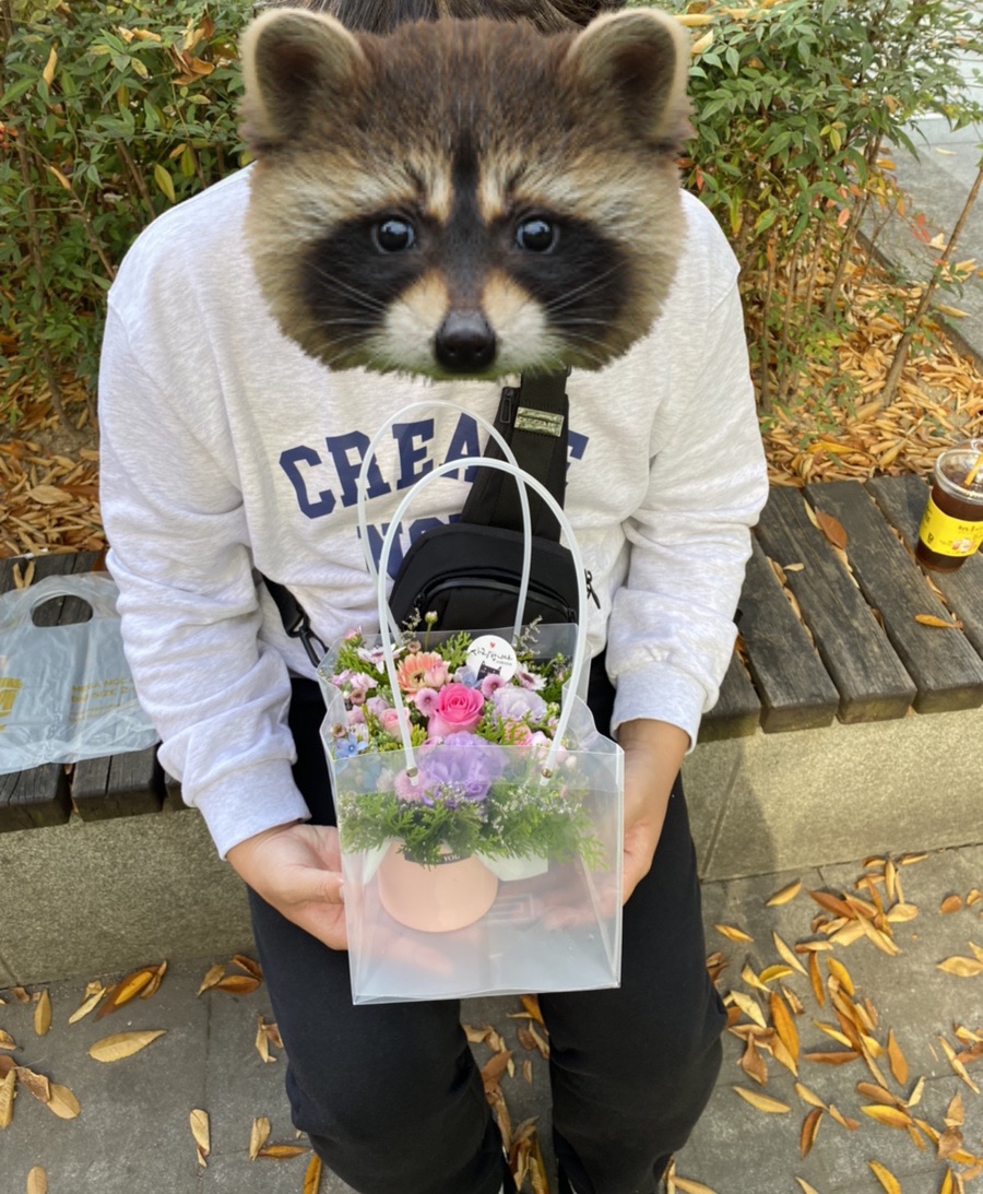 강북화원 이미지